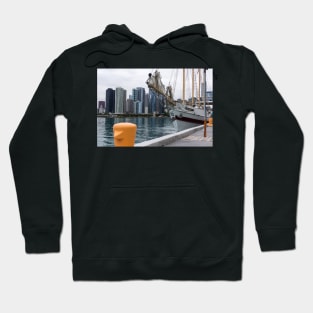 Chicago river scene Hoodie